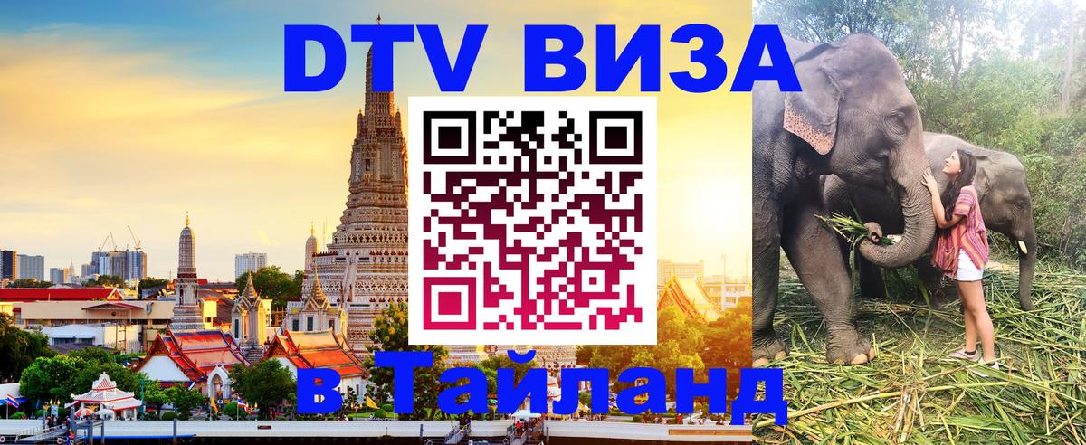 Visa ДТВ Тайланд помощь Чавенг 